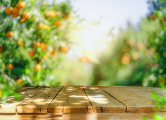 Wooden table in front of citrus garden with sunlight bokeh