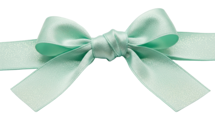 Mint Green Satin Ribbon Bow isolated PNG with Transparent Background