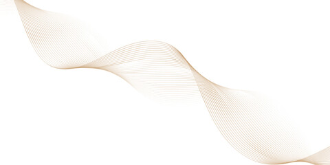 A beautiful white calla lily flower isolated on a white background