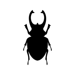 Silhouette of an Egyptian scarab beetle, a symbol of resurrection and transformation