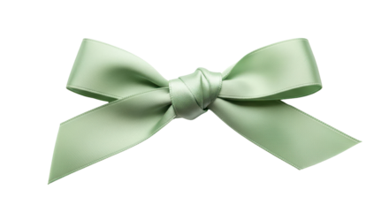 Pale green satin bow for decoration isolated PNG with Transparent Background