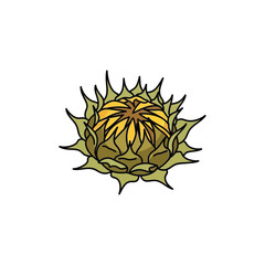 Hand drawn vector illustration of a spiky thistle flower.