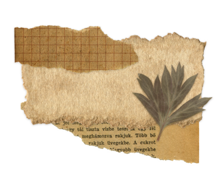 Vintage Ripped Notepaper with Dried Botanical Leaves. Isolated Scrapbook Sticky Note Collage elements