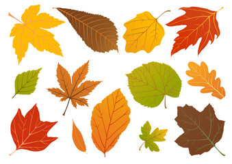 Bright and simple autumn leaves in warm colors. Flat cartoon foliage for seasonal design.