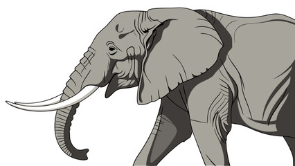 Fototapeta premium African Elephant Profile Wildlife Illustration Gray Scale Big Tusks Majestic Animal Nature Drawing Vector Art Animal Portrait Elegant Elephant Design.