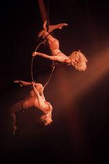 Two female aerial acrobats perform on hoop, one inverted gripping with legs and arms, the other...