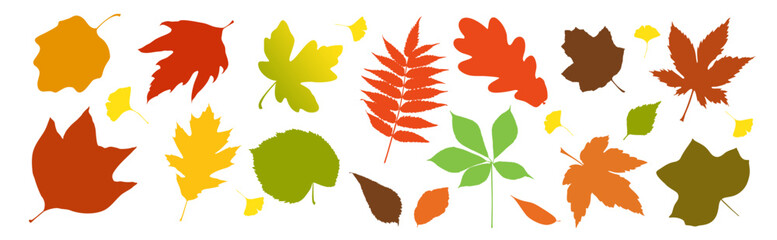 Bright and simple autumn leaves in warm colors. Flat cartoon foliage for seasonal design.