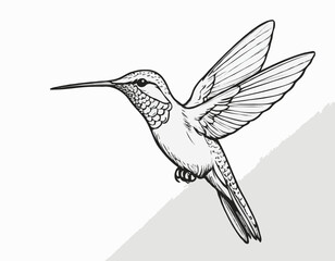 Fototapeta premium Hummingbird sketch hand drawn Side view, engraving style vector illustration.