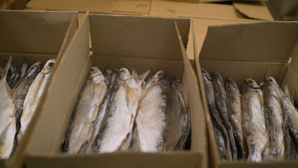 Stockfish drying and packaging process in cardboard boxes
