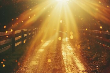 Farm light leaks backgrounds sunlight outdoors.