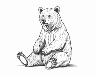 Cute bear animal sitting hand drawn engraving sketch Vector illustration.