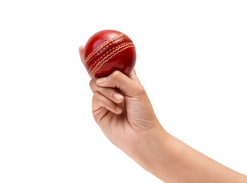 Close up of a hand holding a red leather cricket ball, isolated