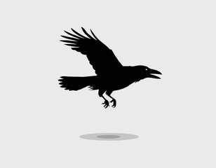 Raven flying silhouette hand drawn sketch illustration