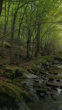 Drone footage of the Vidima River in the Balkan Mountains near Apriltsi, Bulgaria. Scenic aerial view of a wild mountain stream and green forest in Stara Planina.