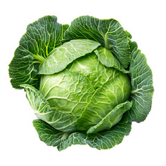 Obraz premium Fresh Green Cabbage Isolated on Transparent Background for Professional Designs