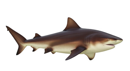 Isolated Brown Shark Side View, Wild Marine Predator, Endangered Species, Animal Model