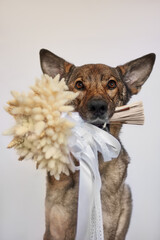 Dog Holding a Wedding Bouquet