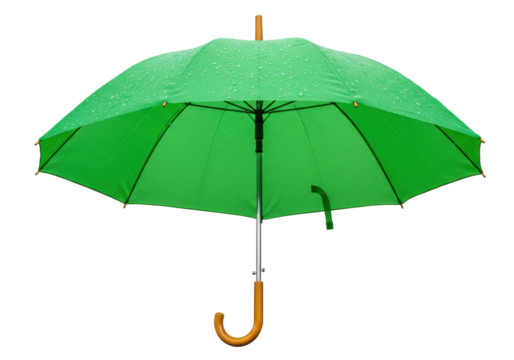 Isolated Green Umbrella Protection for Rainy Weather With Wood Handle on an overcast day
