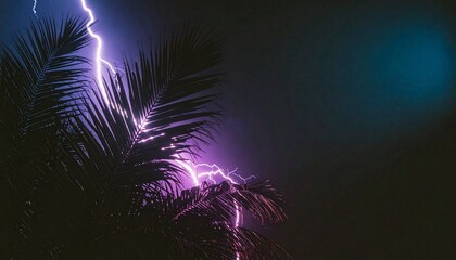 Dramatic Lightning Strikes Behind Silhouetted Palm Trees at Night
