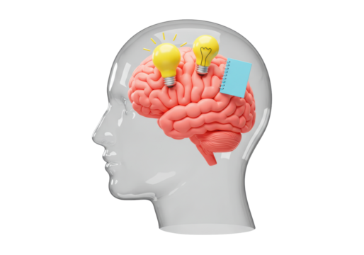 Isolated inventive human brain with light bulb ideas and blue notepad for thoughts