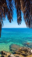 Tropical Paradise at Tigania Beach with Palm Trees and Turquoise Water