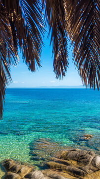 Tropical Paradise at Tigania Beach with Palm Trees and Turquoise Water
