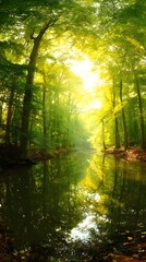 Fototapeta premium mirror. A tranquil forest scene mirrored in a still lake under golden sunlight filtering through trees. travel magazines, destination branding, designed for outdoor magazines and nature guides.