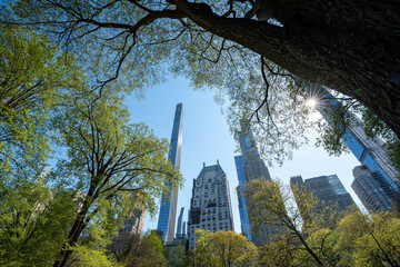View of New York Billionaires row, with tall and narrow skyscrapers seen from Central Park during sunny day, framing the buildings with trees