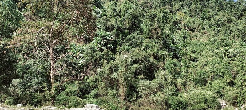 A green mountain