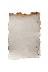 Obraz premium Torn beige paper, blank, isolated