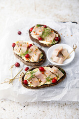 Herring sandwiches with cranberry
