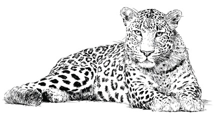 Obraz premium Detailed Hand-Drawn Black and White Ink Sketch of Person Sitting