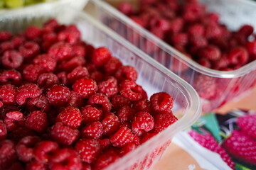 Raspberries in a plastic container.  Harvesting.