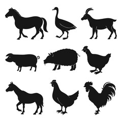 Animal vector, Animal design, Animal concept, Animal post, Animal cartoon, Animal icon, Animal template, Animal art, Animal topics, Animal doodle, Animal clipart