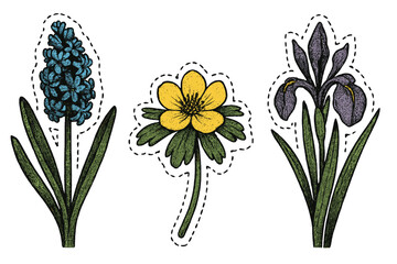 Vintage spring flowers set with hyacinth, winter aconite, and iris in dotted halftone collage style, retro floral elements, trendy botanical stickers for posters, art, and t-shirts