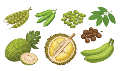 Vector illustration of vegetable and fruit © bow