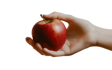 Realistic close up of teacher hand holding pen symbolizing education knowledge learning and academic classroom instruction atmosphere isolated on transparent background PNG