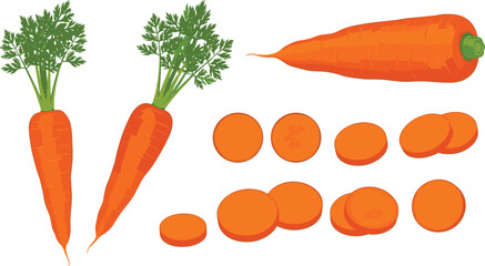 Fresh carrots with green leaves and sliced pieces, organic vegetable illustration, healthy food concept, nutrition, farming, diet, kitchen ingredient, cooking