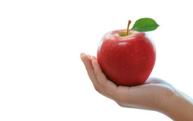 Realistic teacher hand with pen highlighting education authority academic learning process and professional teaching environment isolated on transparent background PNG