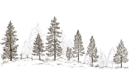 Naklejka premium Minimalist Pine Tree Forest Illustration