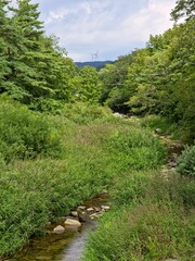 Beautiful summer, sky, clouds, trees, natural scenery - 아름다운 여름, 하늘, 구름, 나무, 자연 경관