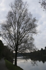 Fiume sul lago maggiore