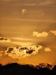 ​Golden Hour Solitude