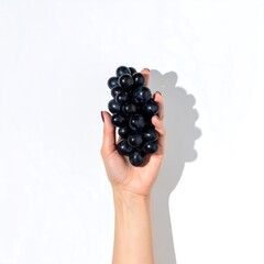 Hand holding a bunch of dark grapes against a white background