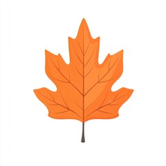 Fototapeta premium Autumn hickory leaf illustration fall animal.