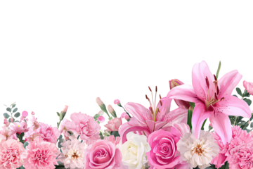 Pink Flowers on Black Background