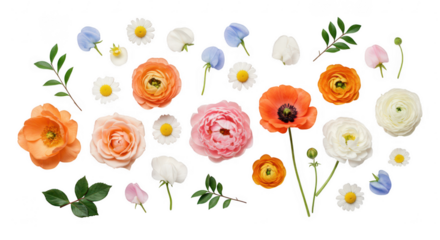 Floral Mosaic of Petals: A vibrant, high-angle studio shot showcasing an array of intricately arranged flowers and leaves, creating a visually stunning and refreshing floral mosaic.