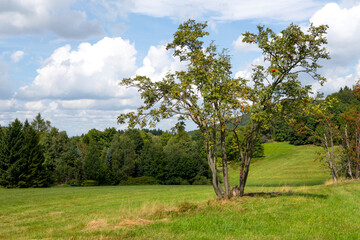 Fototapeta premium Landschaft bei Krompach, Tschechien nahe dem Zittauer Gebirge