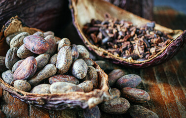 Close-up of brown cocoa beans and cocoa nibs with dry cacao pod
