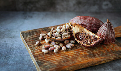 cocoa bean and cocoa nibs, cacao pods